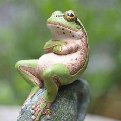 こうちなんさんのプロフィール画像