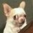 tikamentilisma's profile image