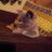 halinlinto's profile image