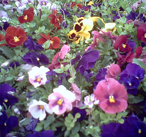 jelly_mango's profile picture. 仕事☞映画屋、趣味☞おしゃれ、映画、海外文学と推理小説、漫画。こっそりガジェット好き。家のパソコンはMac book pro、kindleにiPhone、そしてMac book airを使用中。地味に関東圏に生息中の女子です。