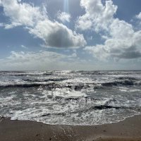 Emilie3392 (@em23397) 's Twitter Profile Photo Emilie3392 (@em23397) 's Twitter Profile Photo