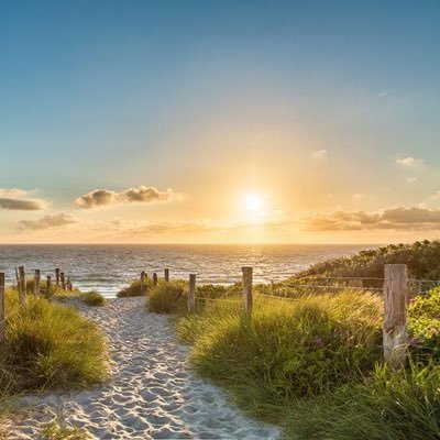 petrageisenhans's profile picture. Leidenschaftliche Mutter mit einem großem Herz für Tiere