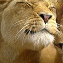 Joaquin Alegria - @javseguros - Twitter