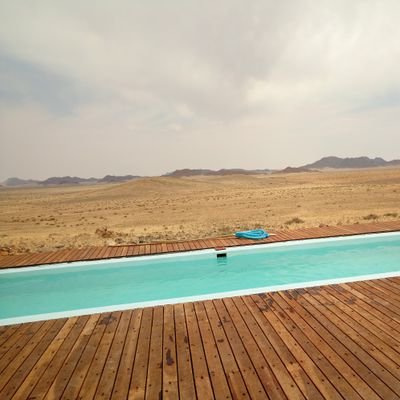 veldskoendraer's profile picture. 