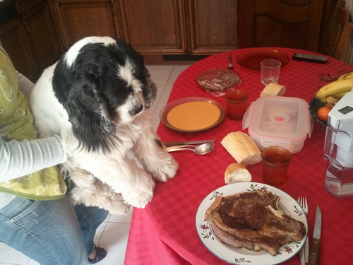 puredegarbanzos's profile picture. En 1972 cuatro de los mejores hombres del ejercito americano formaban un comando.......yo era uno de ellos.