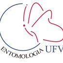 Página de divulgação científica entomológica da disciplina Entomologia Geral 160, da Universidade Federal de Viçosa