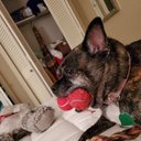 Nancy Camus - @NancyCamus4 - Twitter