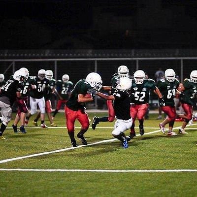 OriDaniels's profile picture. 