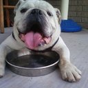 Dillon Beth Bates - @punk4U909 - Twitter