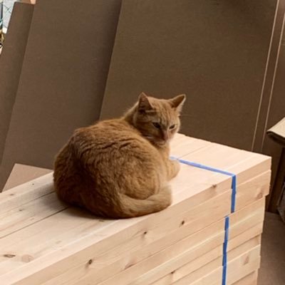 PYqlEATLywe0CUe's profile picture. JW2世、最近はサーフィンと乗馬にはまってます