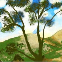 greenvalleyfsc's profile picture. Green Valley Fire Safe Council - A Firewise Site.