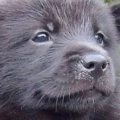 MHWI94765367's profile picture. 基本ソロか会社の後輩とやってますが、最近サークルに興味を持ちMHWI用のアカウント作りました✨