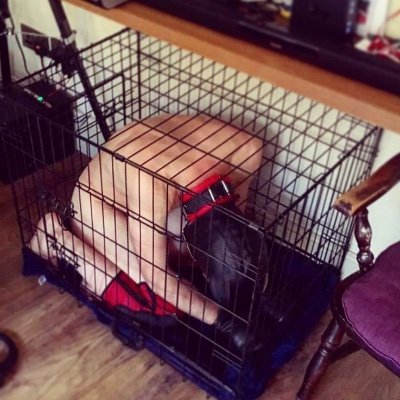 subpup02's profile picture. Just a boy looking for a Master to train me to be a good boy!!