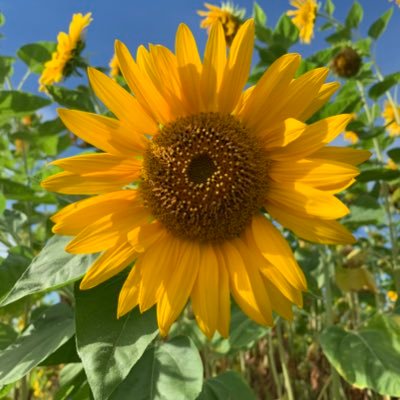 dolphin7711's profile picture. 