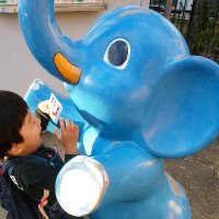 りん (@rintan_ty) Twitter profile photo