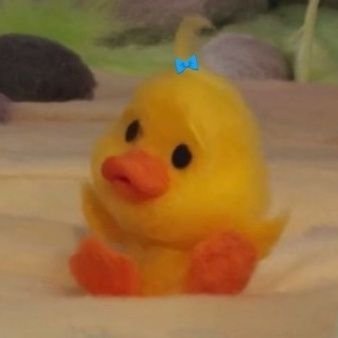 JMML_1013's profile picture. 🚫 언괄 블락