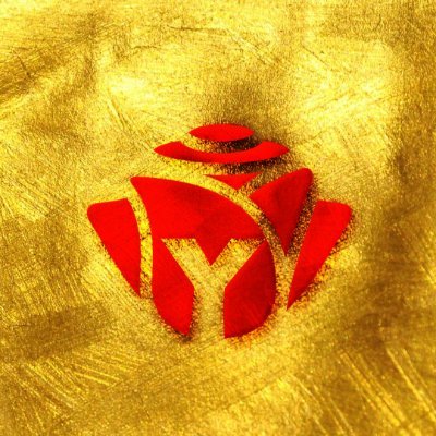 yangroses_ent's profile picture. YANGROSES Entertainment, company focused in promotion, projects, collabs and production of Cover Artists. | PT-BR, ENG & ES. | AUDITIONS OPENED!