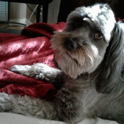 tonyr1081's profile picture. 