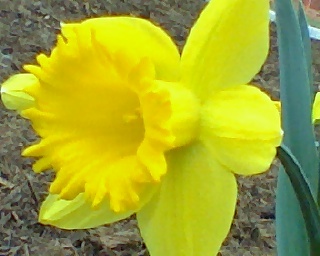 katrinawaugh's profile picture. everything fun under the sun