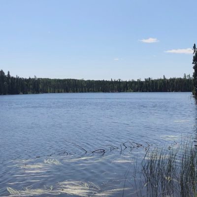 how_ni10's profile picture. Twitter eh