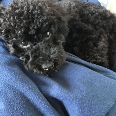 あさんのプロフィール画像
