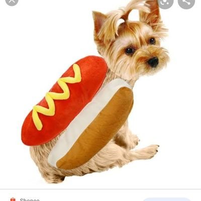 expert_ti's profile picture. Xiuaua