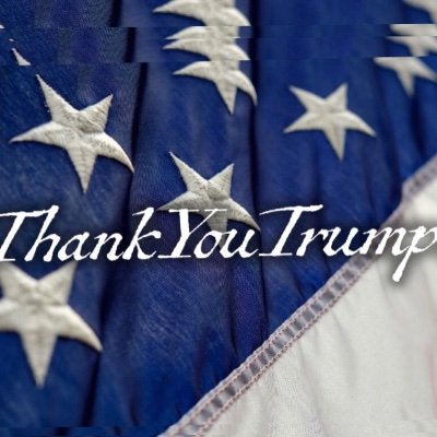 ThankYouTrump45's profile picture. #ThankYouTrump was created for Americans to share a personal message of gratitude and appreciation for our great President, Donald J. Trump! #MAGA #KAG2020