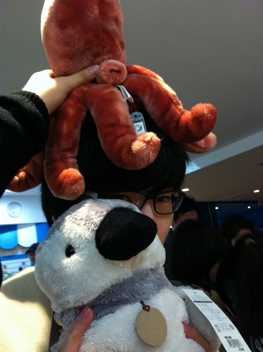 PerhapsSPY's profile picture. 잘 안씀