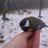 Wisperhunter's profile image