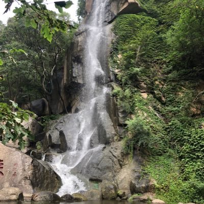 yaojiankangman's profile picture. 外汇ea编写