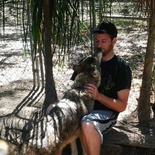 PermanentlyShy's profile picture. I have a beard. It's red. I put bread on shelves. I attend entirely way too many music and wrestling shows.