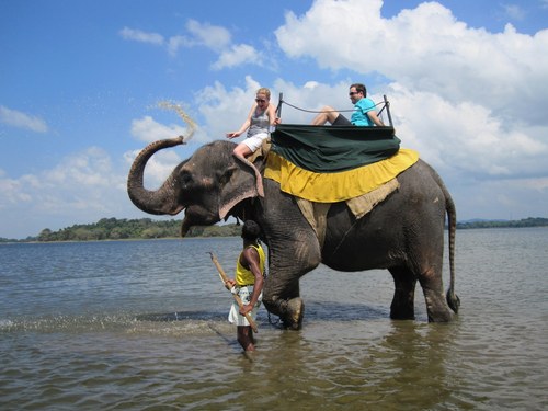 nickparrett79's profile picture. 