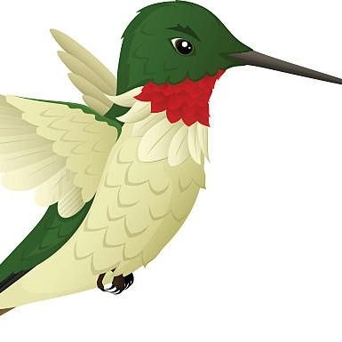 Hummingbird 💙🇺🇦💛