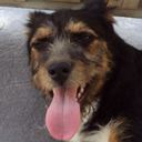 Dora Barta - @dora_2009 - Twitter