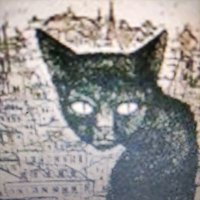 De cañas (@decaas5) 's Twitter Profile