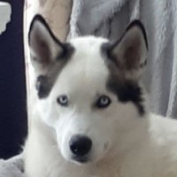 Jaq (@momdipity) 's Twitter Profile Photo Jaq (@momdipity) 's Twitter Profile Photo
