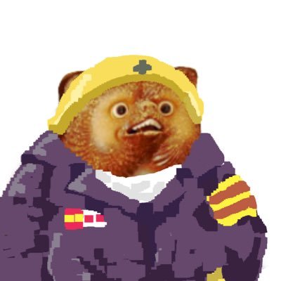 🦝さんのプロフィール画像