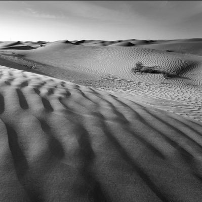 hesham_alsufian's profile picture. N/A