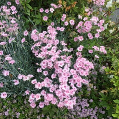 jWLvCg8aklmhcxk's profile picture. 