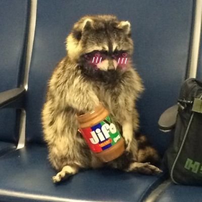 jpfattyman24's profile picture. 