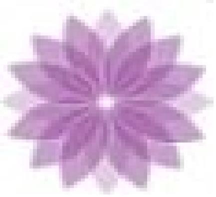 EnergiesAction's profile picture. Energies in Action is an easy-to-use website that helps you search for anything to do with holistic health and wellbeing, alternative therapies, spiritual explo