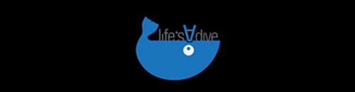 LIFESaDIVE's profile picture. Freediving Instructor offering F.I.I. accredited courses throughout the Hawaiian Islands & in Lebanon