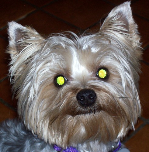 lkelly197's profile picture. 