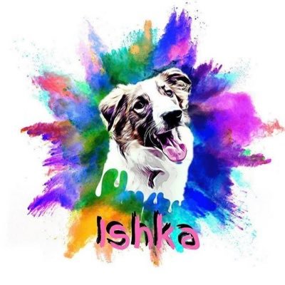 Maximus 🇨🇾, Ishka 🇧🇦, Orca 🏴 Otto 🇲🇰 and Hiccup 🇲🇰. We live with our humans @cirein_croin and @hemysaurusrex.