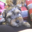 Kira May - @itsmekira - Twitter