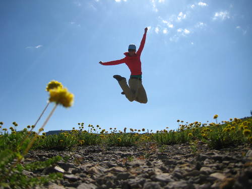 aliraemcilroy's profile picture. 