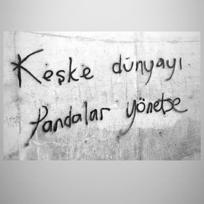 Zehra06685839's profile picture. 