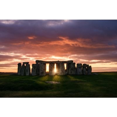 startpagesearch's profile picture. 