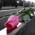 احساس عاشق (@mrboo0oosh) Twitter profile photo احساس عاشق (@mrboo0oosh) Twitter profile photo