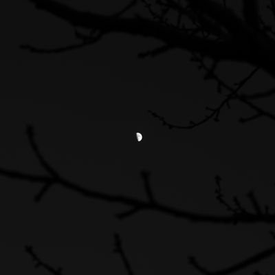 hoyenanha's profile picture. π ο  ί    η      σ        ι          ς